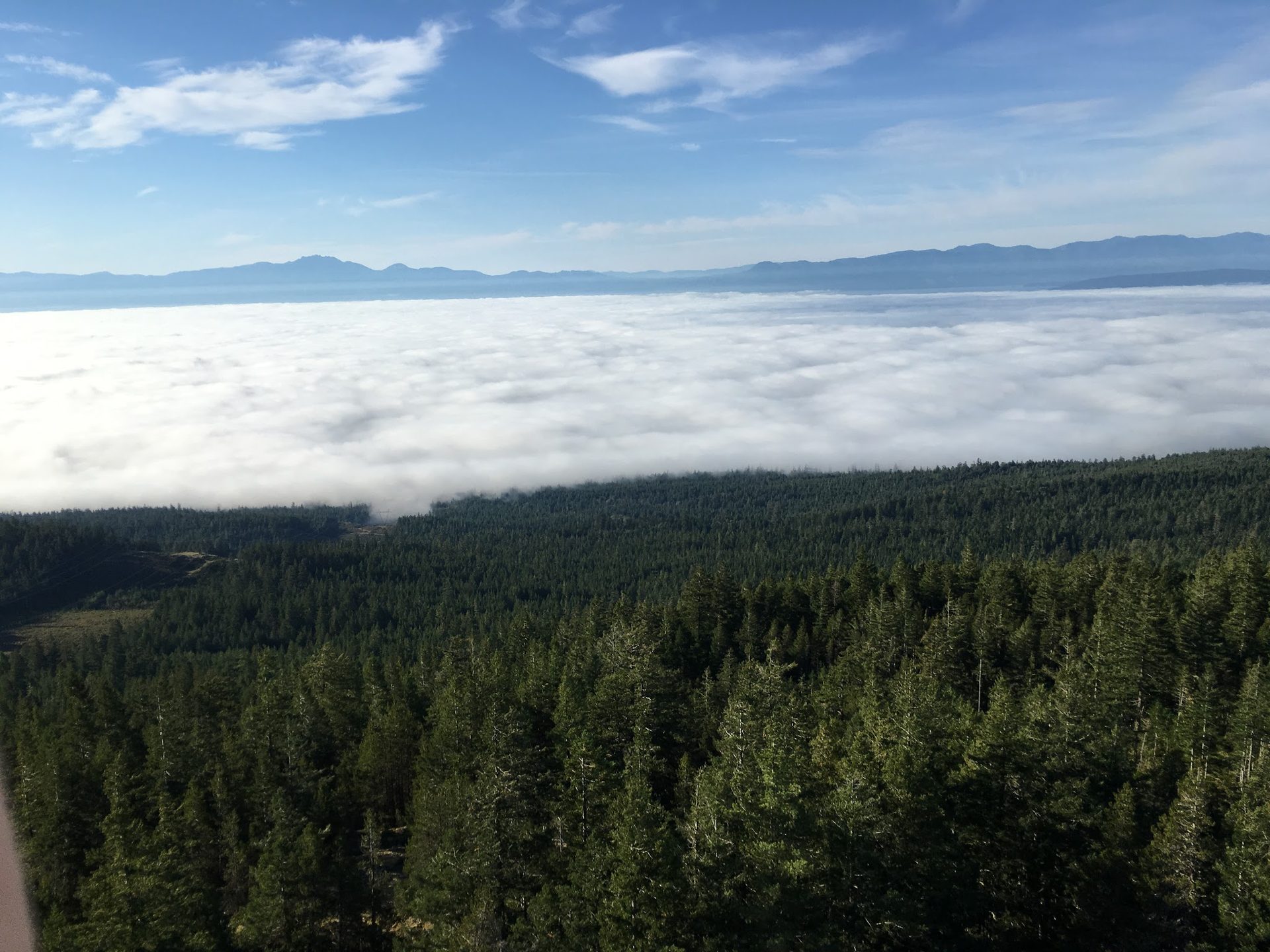Tower above the clouds — the view from a career in wireless